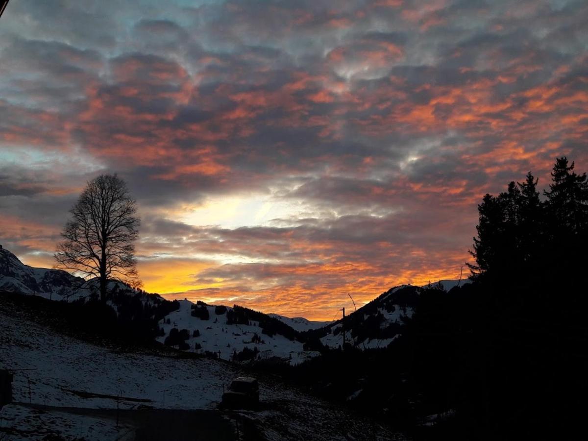 Ferien In Der Bergwelt Von Adelboden Bed & Breakfast Luaran gambar