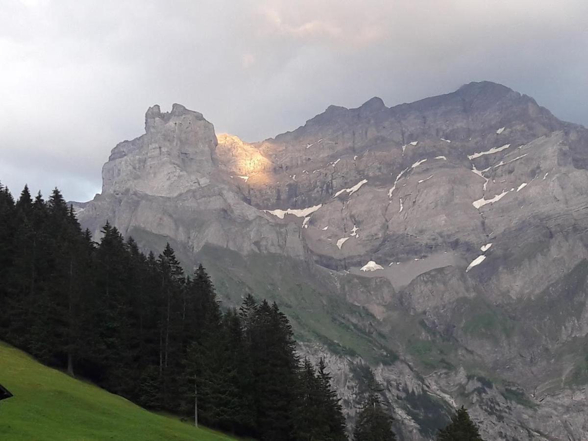 Ferien In Der Bergwelt Von Adelboden Bed & Breakfast Luaran gambar