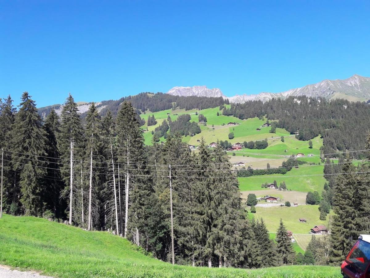 Ferien In Der Bergwelt Von Adelboden Bed & Breakfast Luaran gambar